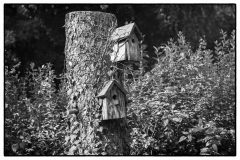 L1000580-Modifier