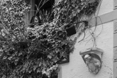 L1000800-Modifier-2