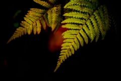 detail13
