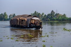 india31