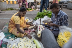 india13