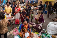 india15