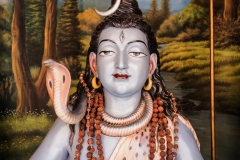 india23