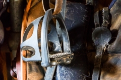 fauvillers05-21-04