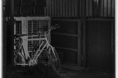 L1000233-Modifier-Modifier-scaled