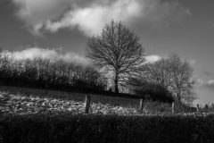 24janvier30