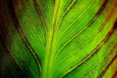 feuille2