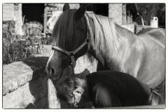 L1003277-Modifier-2