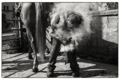 L1003334-Modifier