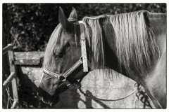 L1003383-Modifier