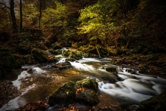ruisseau14