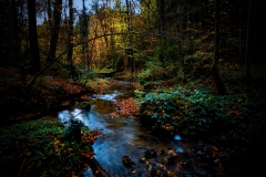 ruisseau15