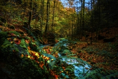 ruisseau16