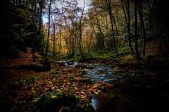 ruisseau17