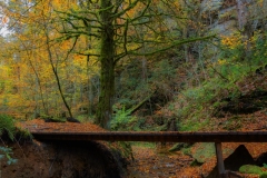 ruisseau2