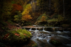 ruisseau20