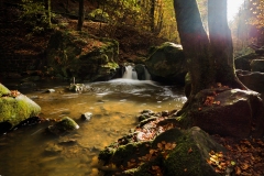 ruisseau6