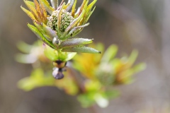 spring25