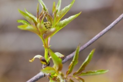 spring25b