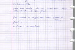 feuille_filo