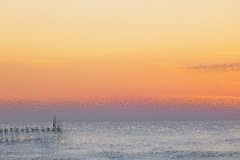 domburg21-09-82