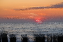 domburg21-09-83