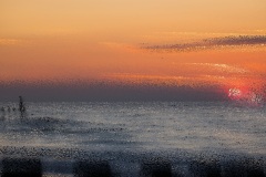 domburg21-09-84