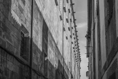 L1007135-Modifier