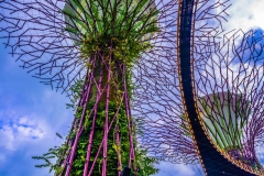 singapour32